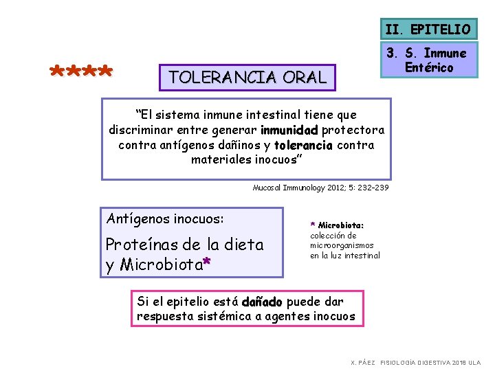 II. EPITELIO **** 3. S. Inmune Entérico TOLERANCIA ORAL “El sistema inmune intestinal tiene