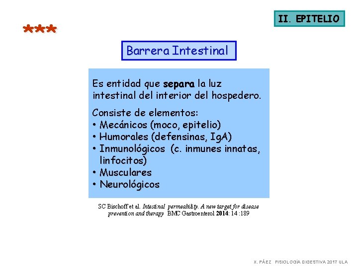 *** II. EPITELIO Barrera Intestinal Es entidad que separa la luz intestinal del interior