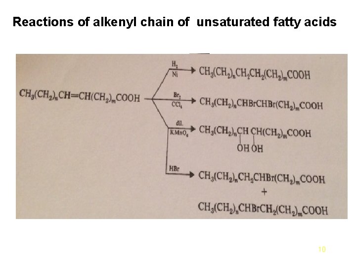 Reactions of alkenyl chain of unsaturated fatty acids 10 