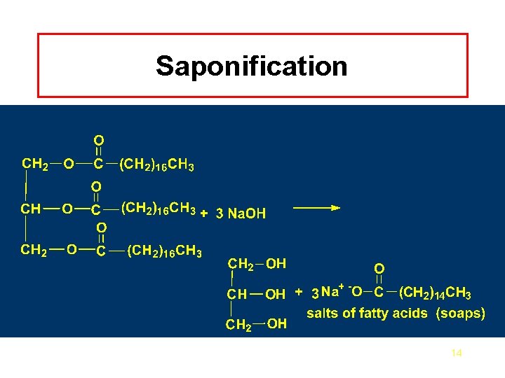 Saponification 14 