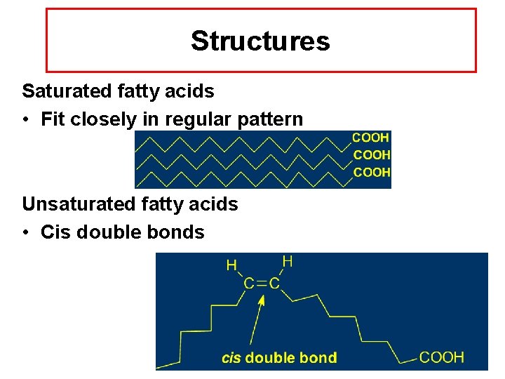 Structures Saturated fatty acids • Fit closely in regular pattern Unsaturated fatty acids •