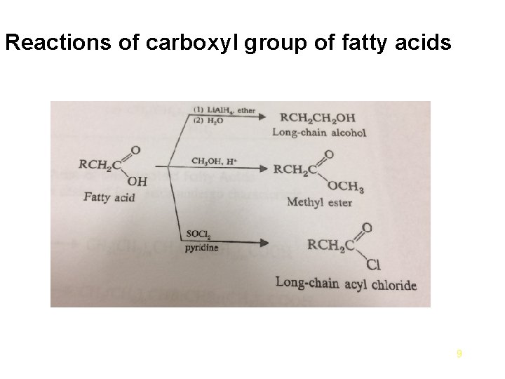 Reactions of carboxyl group of fatty acids 9 