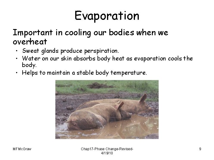 Evaporation Important in cooling our bodies when we overheat • Sweat glands produce perspiration.