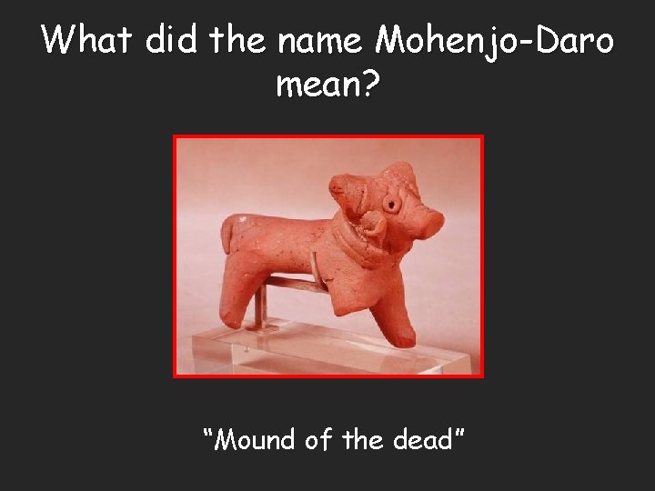 What did the name Mohenjo-Daro mean? “Mound of the dead” 