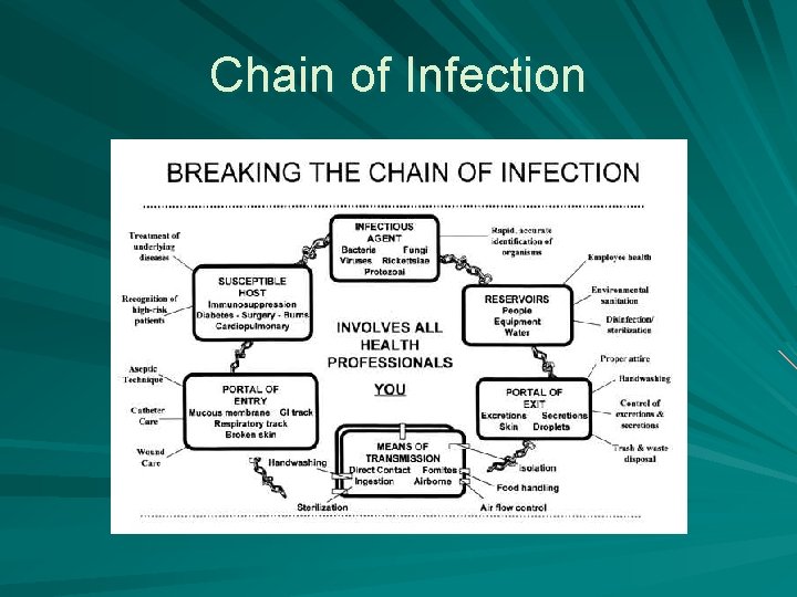Chain of Infection 