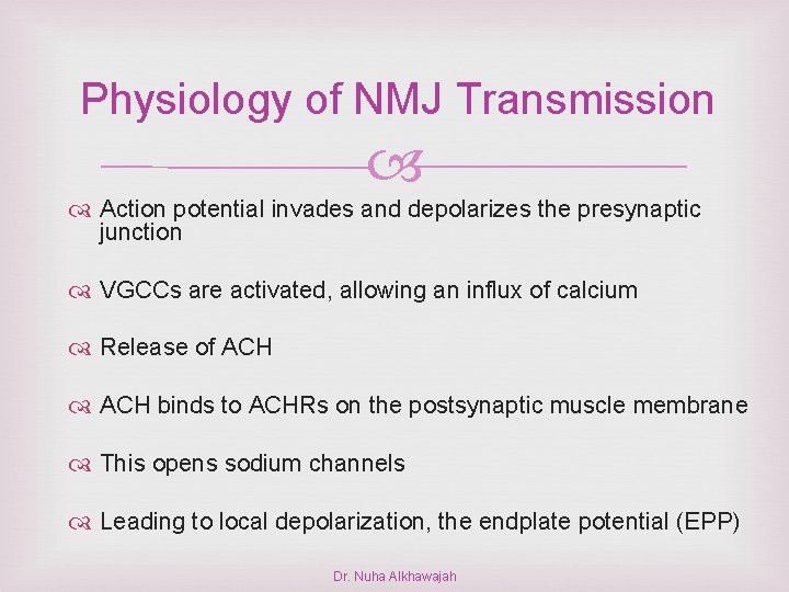 Physiology of NMJ Transmission Action potential invades and depolarizes the presynaptic junction VGCCs are