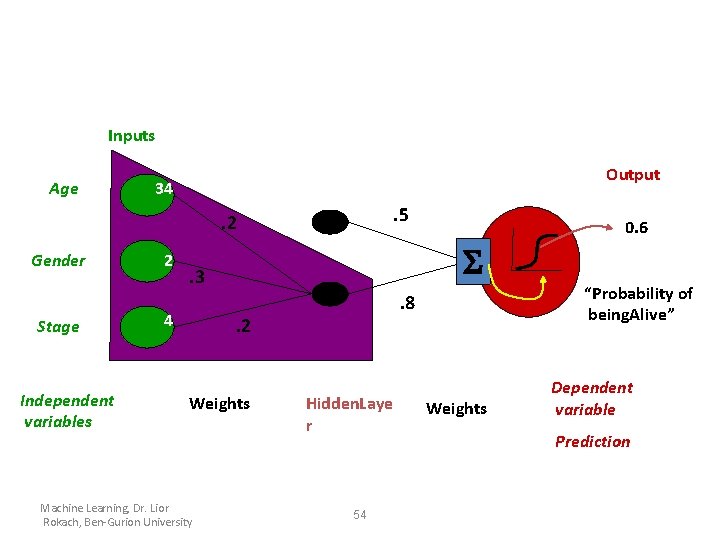 Inputs Age Output 34 . 5 . 2 Gender Stage Independent variables 2 S