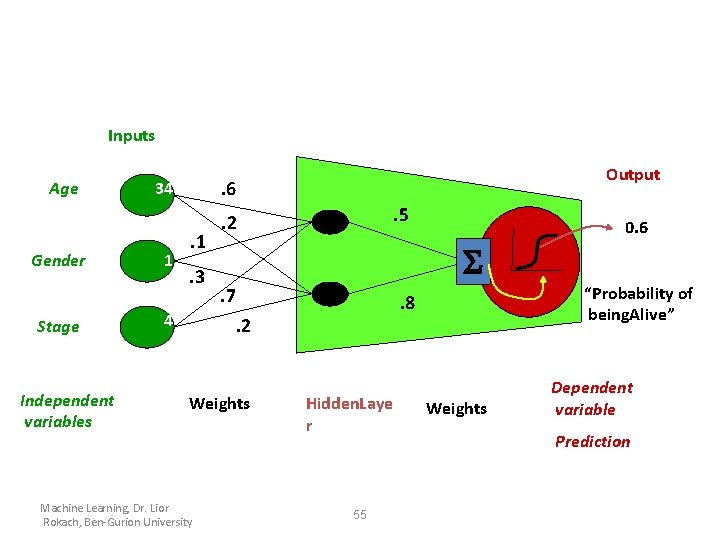 Inputs Age Gender Stage Independent variables . 6 34 1 Output . 1. 3