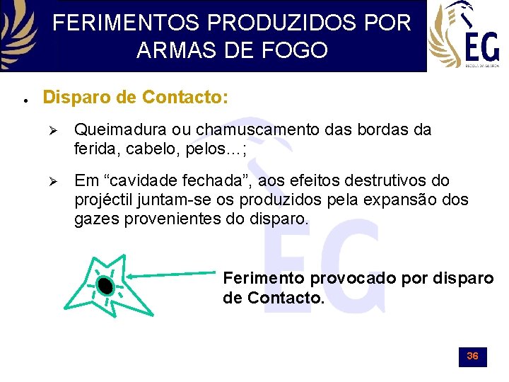 FERIMENTOS PRODUZIDOS POR ARMAS DE FOGO ● Disparo de Contacto: Ø Queimadura ou chamuscamento