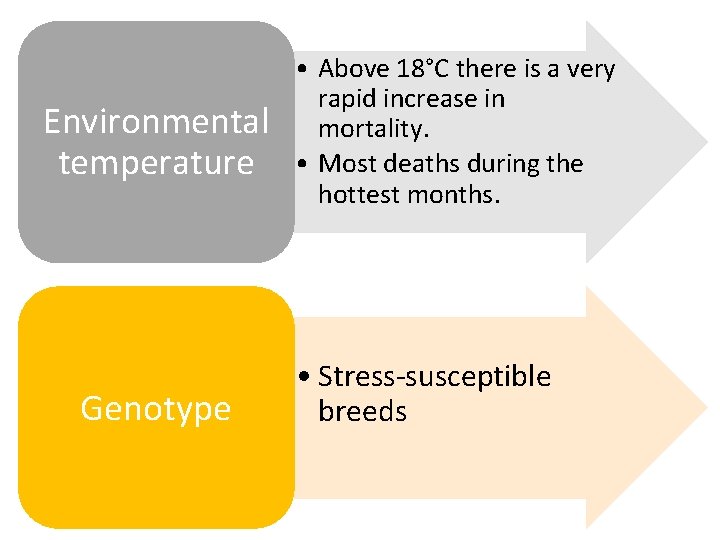 Environmental temperature Genotype • Above 18°C there is a very rapid increase in mortality.