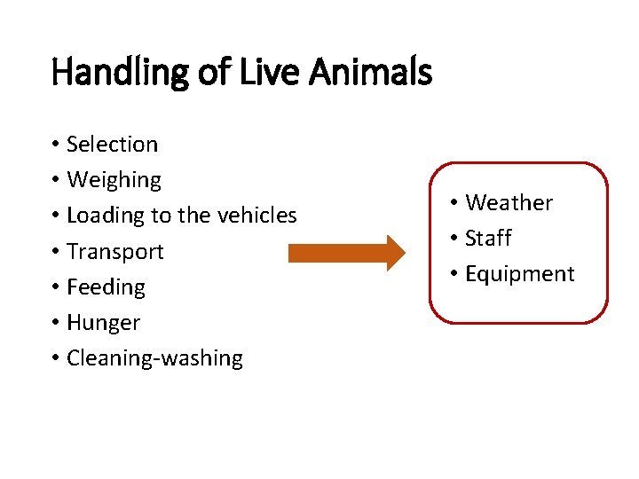 Handling of Live Animals • Selection • Weighing • Loading to the vehicles •