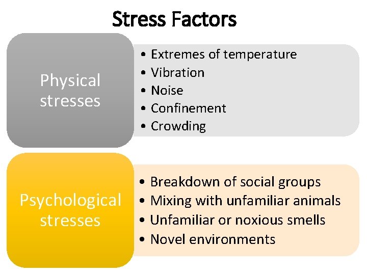 Stress Factors Physical stresses Psychological stresses • Extremes of temperature • Vibration • Noise