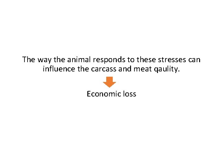 The way the animal responds to these stresses can influence the carcass and meat