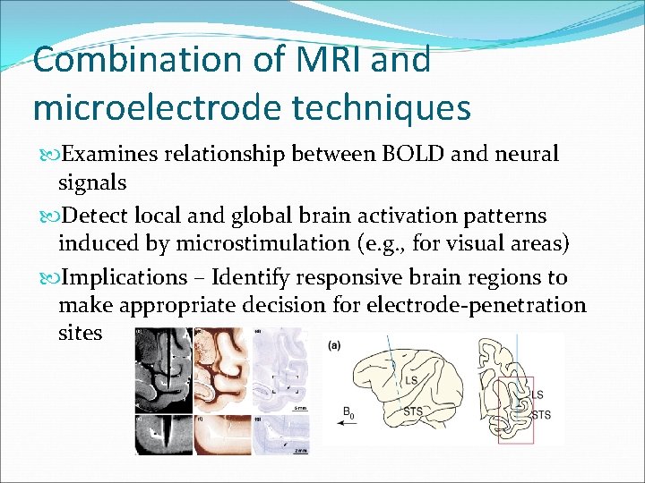 Exploring the neural basis of cognition multimodal links