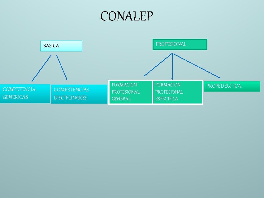 CONALEP PROFESIONAL BASICA COMPETENCIA GENERICAS COMPETENCIAS DISCIPLINARES FORMACION PROFESIONAL GENERAL FORMACION PROFESIONAL ESPECIFICA PROPEDEUTICA