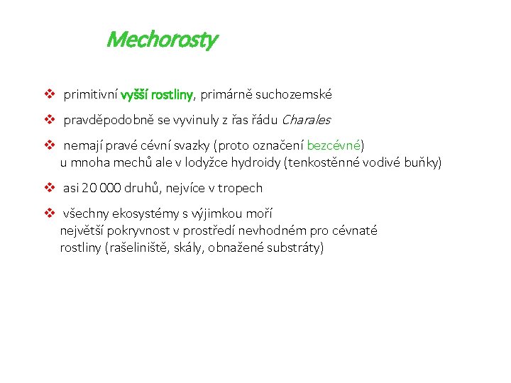 Mechorosty v primitivní vyšší rostliny, primárně suchozemské v pravděpodobně se vyvinuly z řas řádu