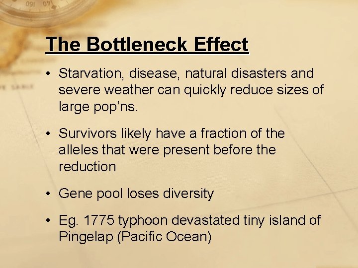 The Bottleneck Effect • Starvation, disease, natural disasters and severe weather can quickly reduce