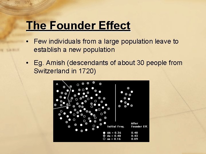 The Founder Effect • Few individuals from a large population leave to establish a