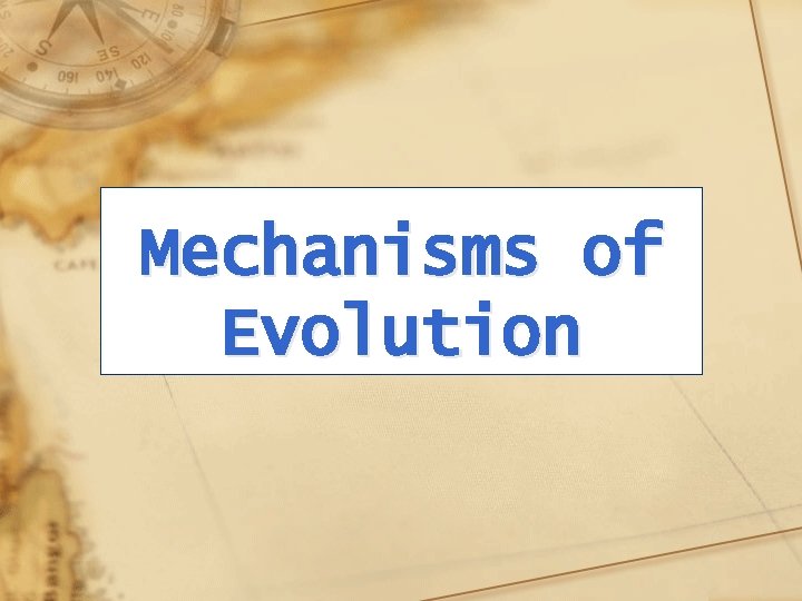 Mechanisms of Evolution 