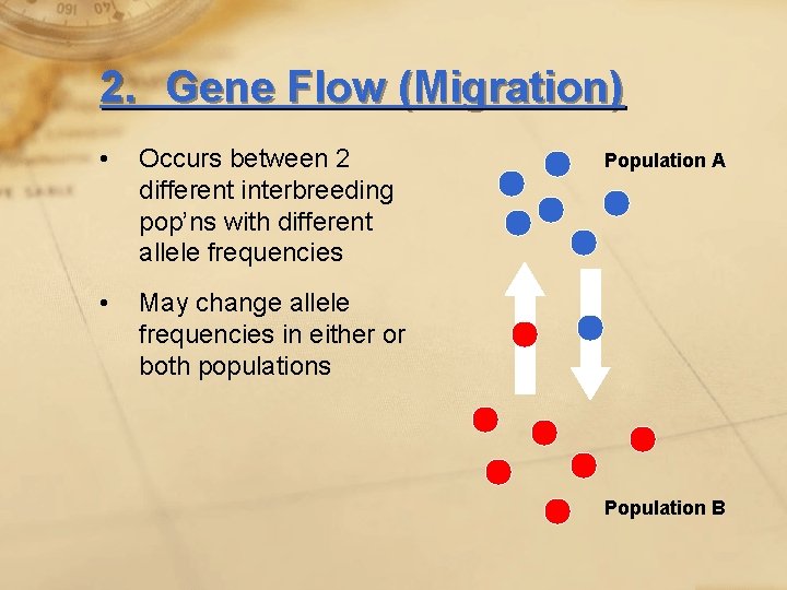 2. Gene Flow (Migration) • Occurs between 2 different interbreeding pop’ns with different allele