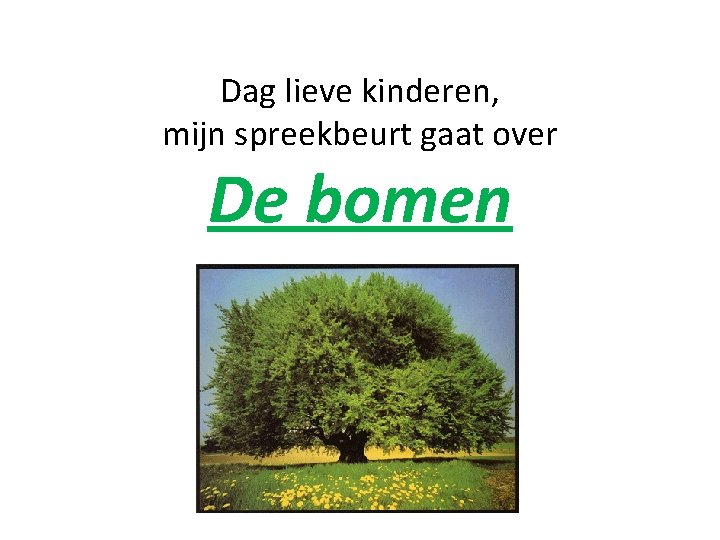 Dag lieve kinderen, mijn spreekbeurt gaat over De bomen 