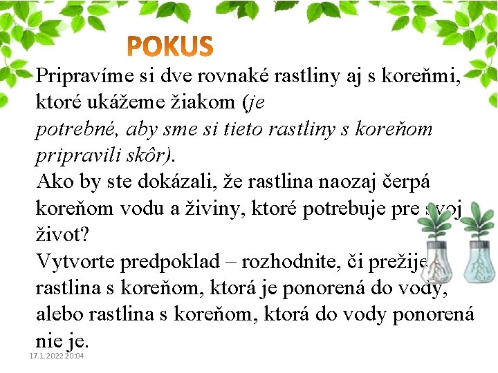 Pripravíme si dve rovnaké rastliny aj s koreňmi, ktoré ukážeme žiakom (je potrebné, aby Pripravíme si dve rovnaké rastliny aj s koreňmi, ktoré ukážeme žiakom (je potrebné, aby