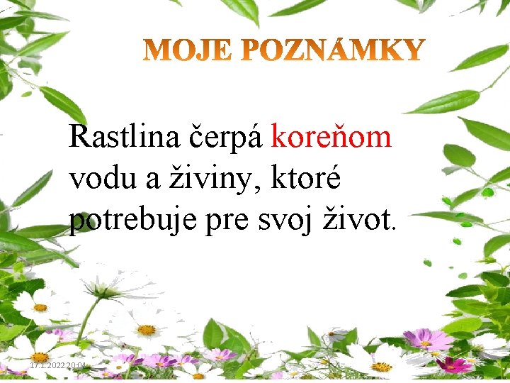 Rastlina čerpá koreňom vodu a živiny, ktoré potrebuje pre svoj život. 17. 1. 2022 Rastlina čerpá koreňom vodu a živiny, ktoré potrebuje pre svoj život. 17. 1. 2022