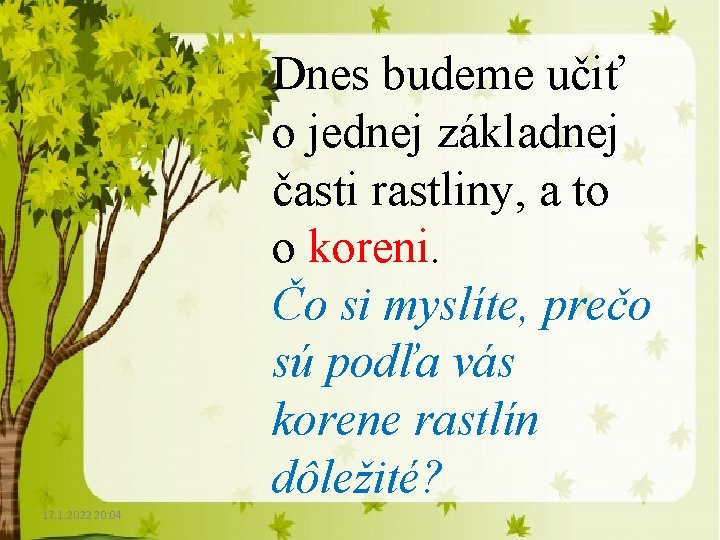 Dnes budeme učiť o jednej základnej časti rastliny, a to o koreni. Čo si Dnes budeme učiť o jednej základnej časti rastliny, a to o koreni. Čo si