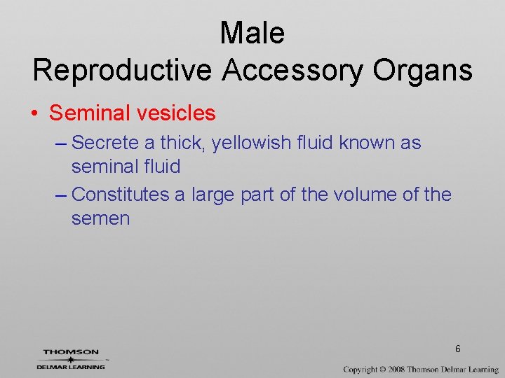 Male Reproductive Accessory Organs • Seminal vesicles – Secrete a thick, yellowish fluid known