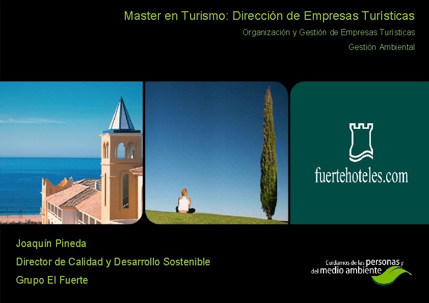 Master en Turismo: Dirección de Empresas Turísticas Organización y Gestión de Empresas Turísticas Gestión