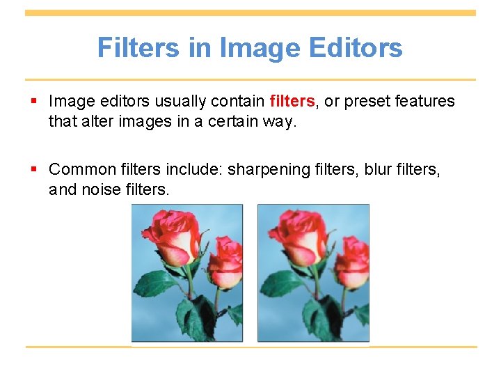 Filters in Image Editors § Image editors usually contain filters, or preset features that