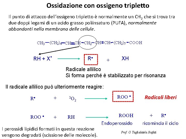 Ossidazione con ossigeno tripletto Il punto di attacco dell’ossigeno tripletto è normalmente un CH