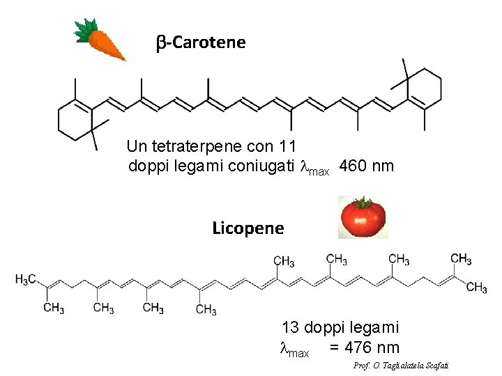 b-Carotene Un tetraterpene con 11 doppi legami coniugati lmax 460 nm Licopene 13 doppi