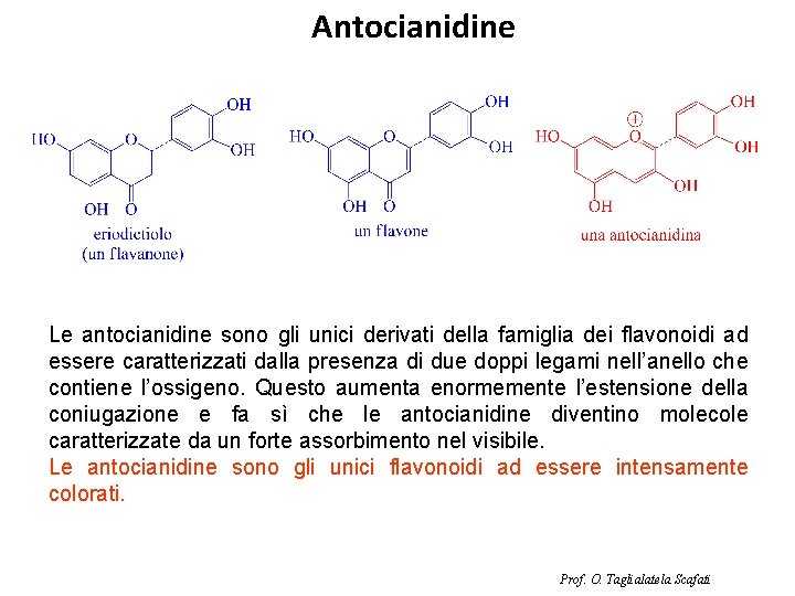Antocianidine Le antocianidine sono gli unici derivati della famiglia dei flavonoidi ad essere caratterizzati