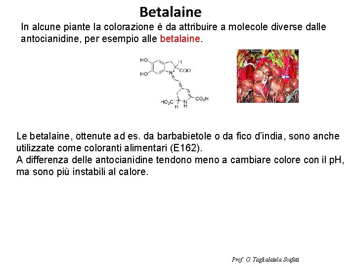 Betalaine In alcune piante la colorazione è da attribuire a molecole diverse dalle antocianidine,