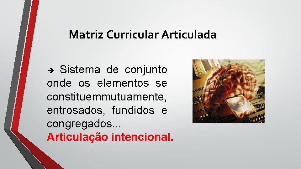 Matriz Curricular Articulada Sistema de conjunto onde os elementos se constituemmutuamente, entrosados, fundidos e