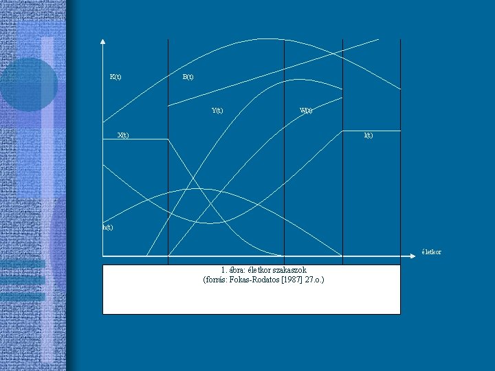 K(t) B(t) Y(t) W(t) X(t) l(t) h(t) életkor 1. ábra: életkor szakaszok (forrás: Fokas-Rodatos