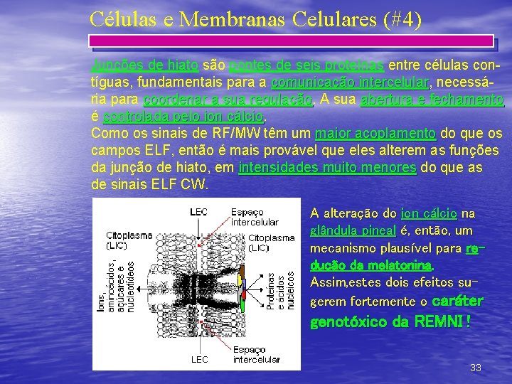 Células e Membranas Celulares (#4) Junções de hiato são pontes de seis proteínas entre