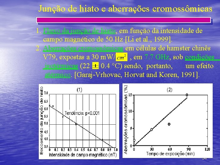 Junção de hiato e aberrações cromossômicas 1. Fluxo da junção de hiato, em função