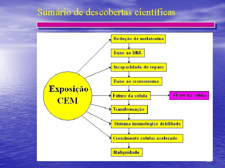 Sumário de descobertas científicas 40 