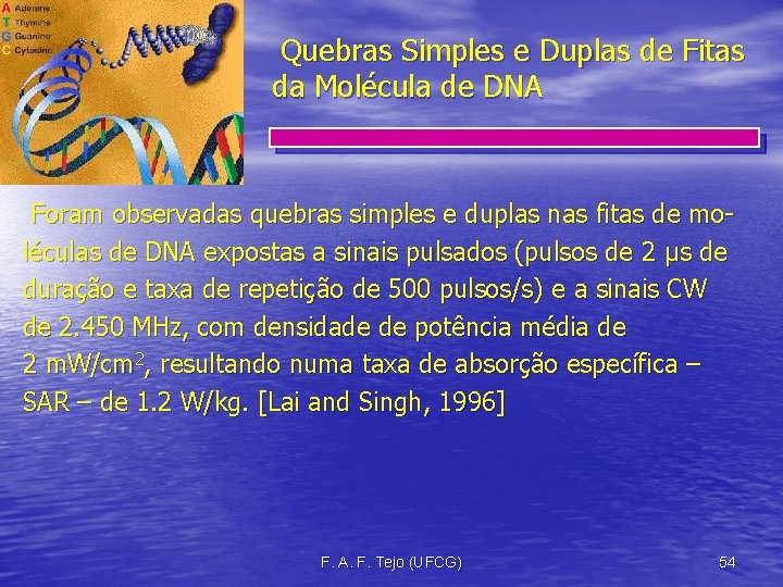 Quebras Simples e Duplas de Fitas da Molécula de DNA Foram observadas quebras simples