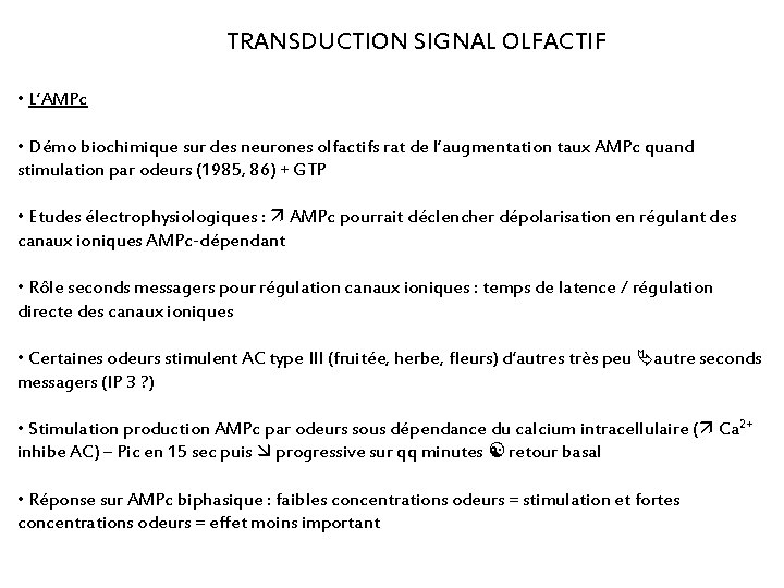 TRANSDUCTION SIGNAL OLFACTIF • L’AMPc • Démo biochimique sur des neurones olfactifs rat de