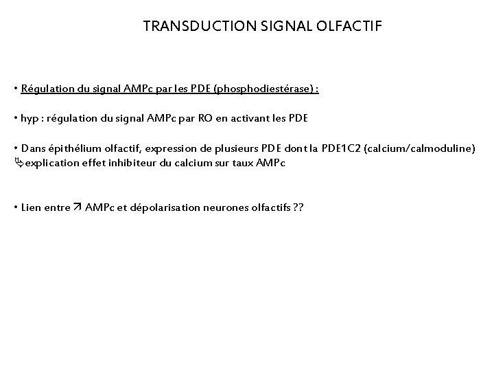 TRANSDUCTION SIGNAL OLFACTIF • Régulation du signal AMPc par les PDE (phosphodiestérase) : •