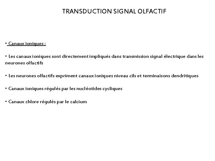 TRANSDUCTION SIGNAL OLFACTIF • Canaux ioniques : • Les canaux ioniques sont directement impliqués