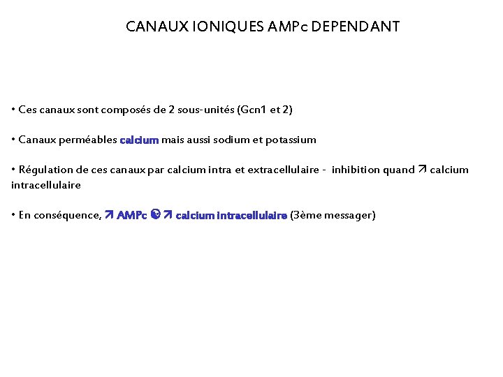CANAUX IONIQUES AMPc DEPENDANT • Ces canaux sont composés de 2 sous-unités (Gcn 1