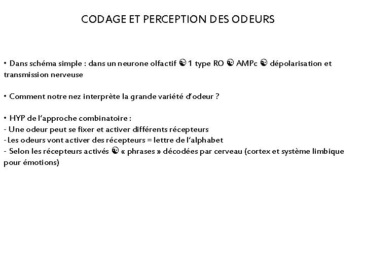 CODAGE ET PERCEPTION DES ODEURS • Dans schéma simple : dans un neurone olfactif