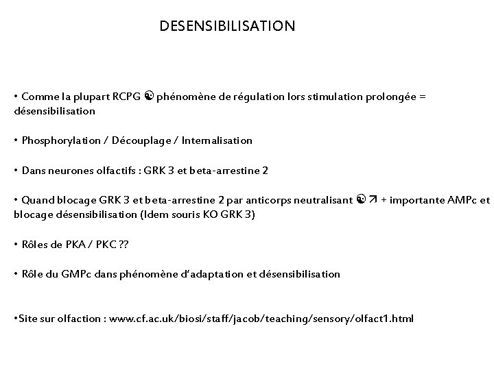 DESENSIBILISATION • Comme la plupart RCPG phénomène de régulation lors stimulation prolongée = désensibilisation