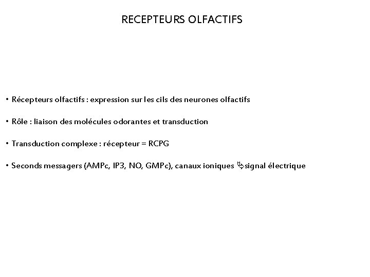 RECEPTEURS OLFACTIFS • Récepteurs olfactifs : expression sur les cils des neurones olfactifs •