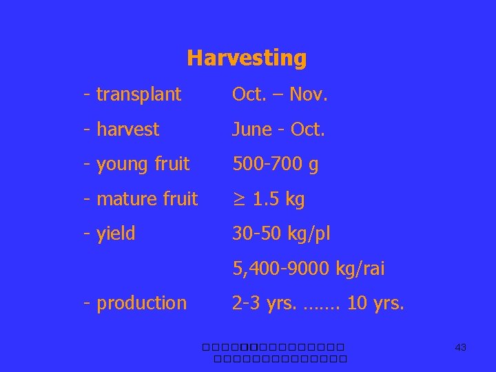 Harvesting - transplant Oct. – Nov. - harvest June - Oct. - young fruit