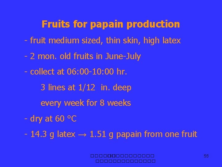 Fruits for papain production - fruit medium sized, thin skin, high latex - 2